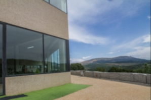 FABRICACIÓN DE CERVEZA